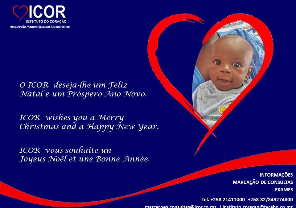 Festas felizes